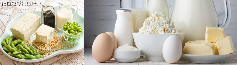 молочная продукция творог молоко польза белок